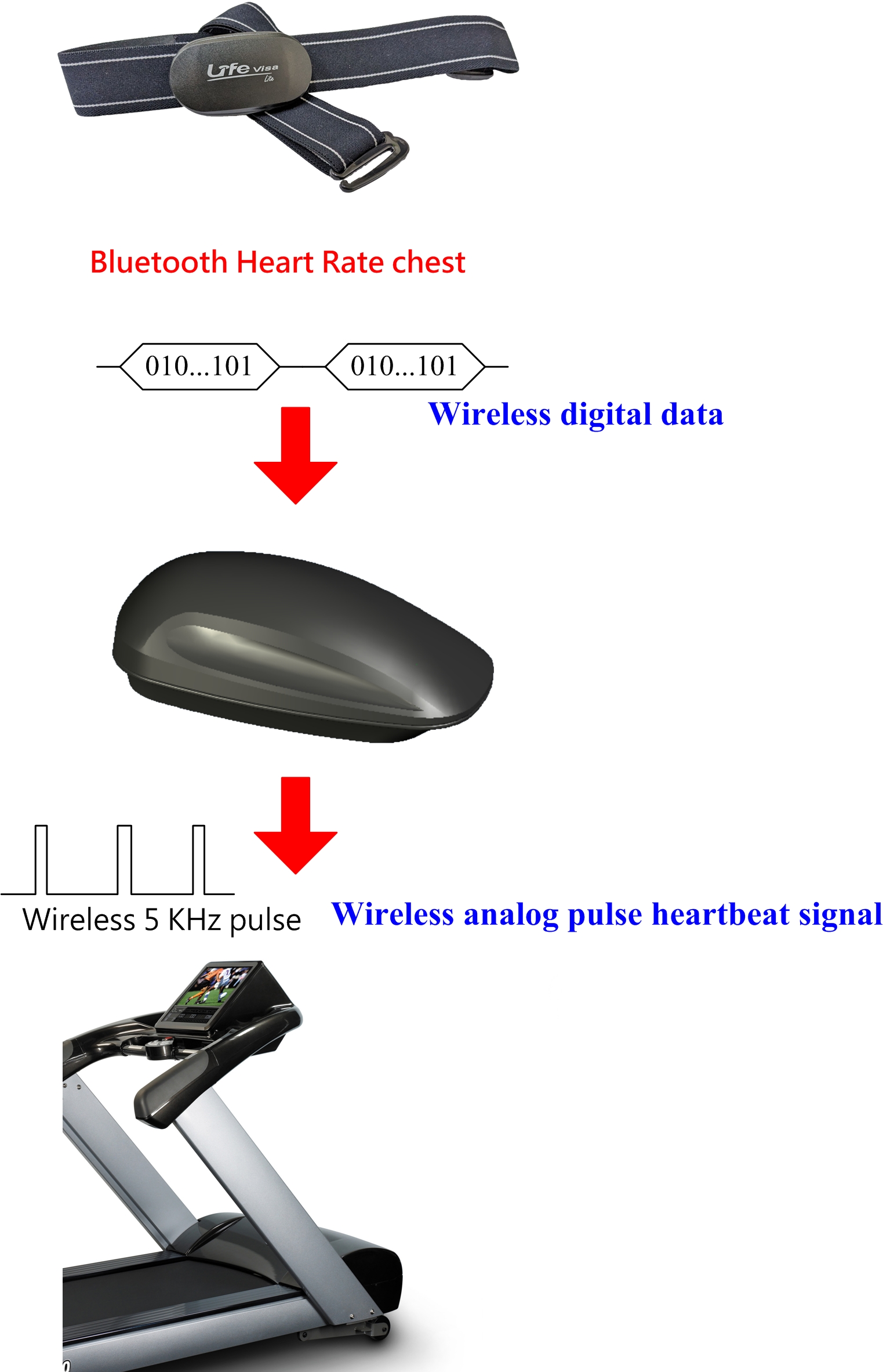 Lifevisa,lifevisa,Taiwan Biotronic,BT to 5KHz converter